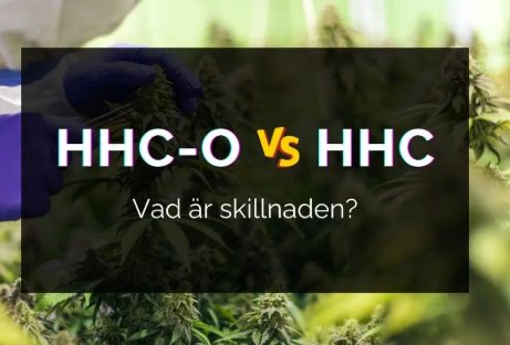 hhc vape hhco hhc o nordic med can thc thch thcnm